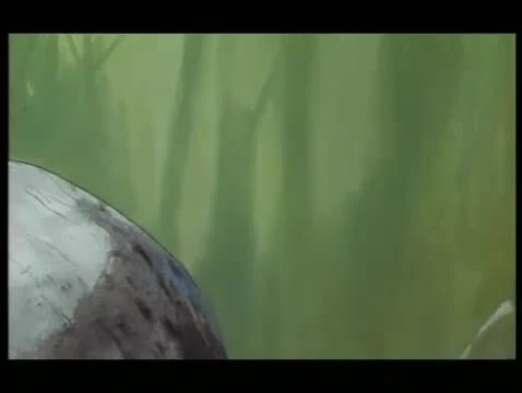 Tecknat Barn Svenska:Kalle Stropp och Grodan Boll på svindlande äventyr (1991) DVDRIPPEN (Svenska) Musiktrailer (4D)